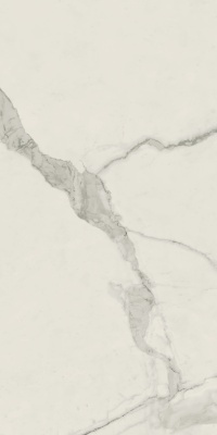 Empire Statuario 1200х600 Матовый
