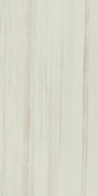 Empire Lasa 1200х600 Матовый