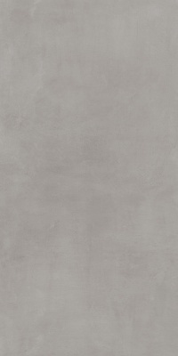 Rinascente Grey 1200x600 Матовый