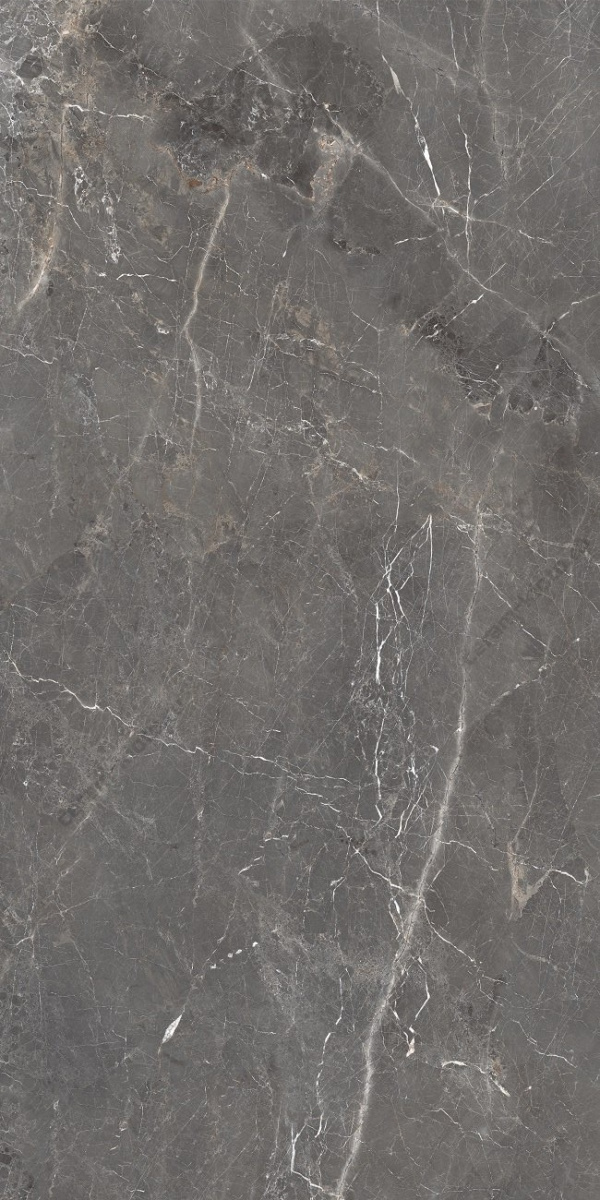 Tulip Grey 1200x600 полированный