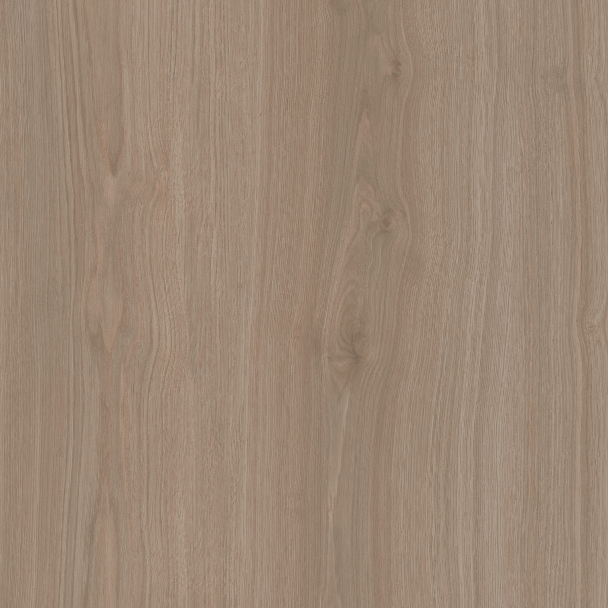 Альберони коричневый светлый матовый обрезной 600x600