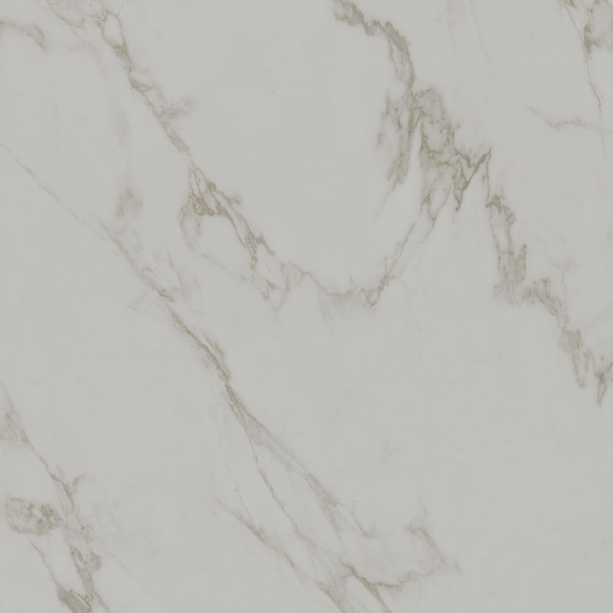 Монте Тиберио серый светлый матовый обрезной 1200x1200