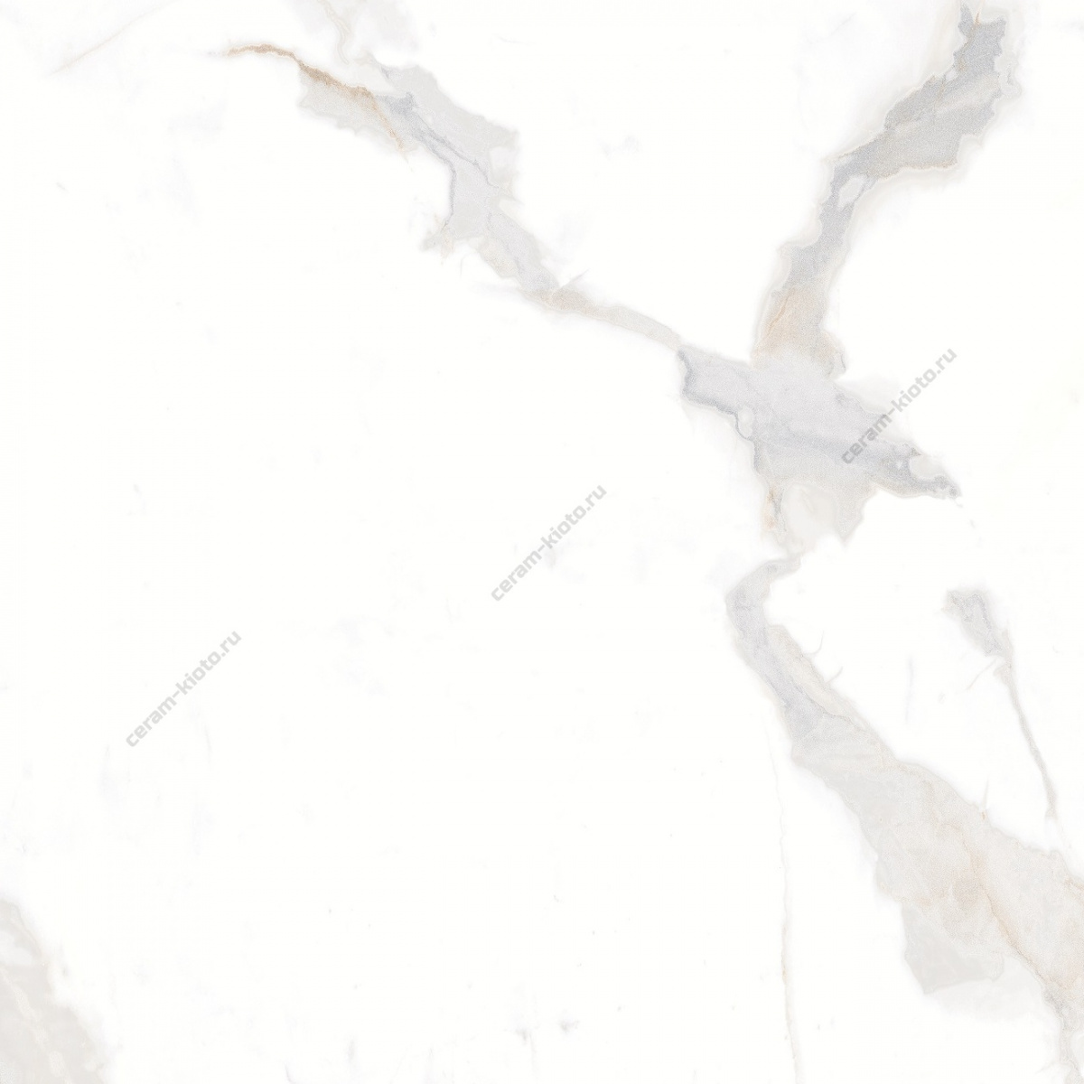 Statuario Marco 600x600 матовый