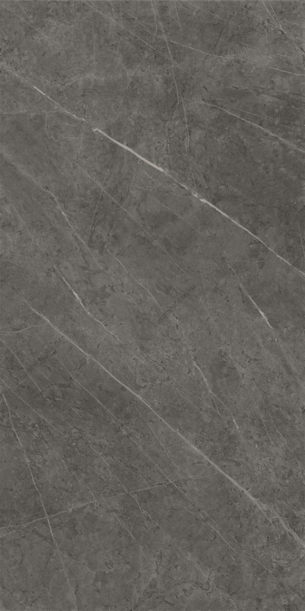 Charme Evo Antracite 1200х600 Матовый