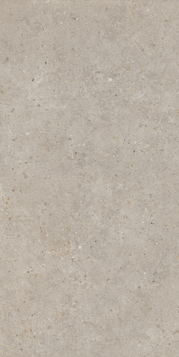 Риккарди бежевый матовый обрезной 1200x600