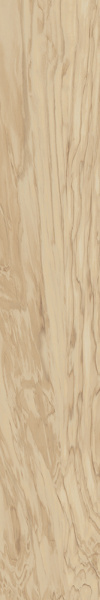 Олива бежевый обрезной 1200x200