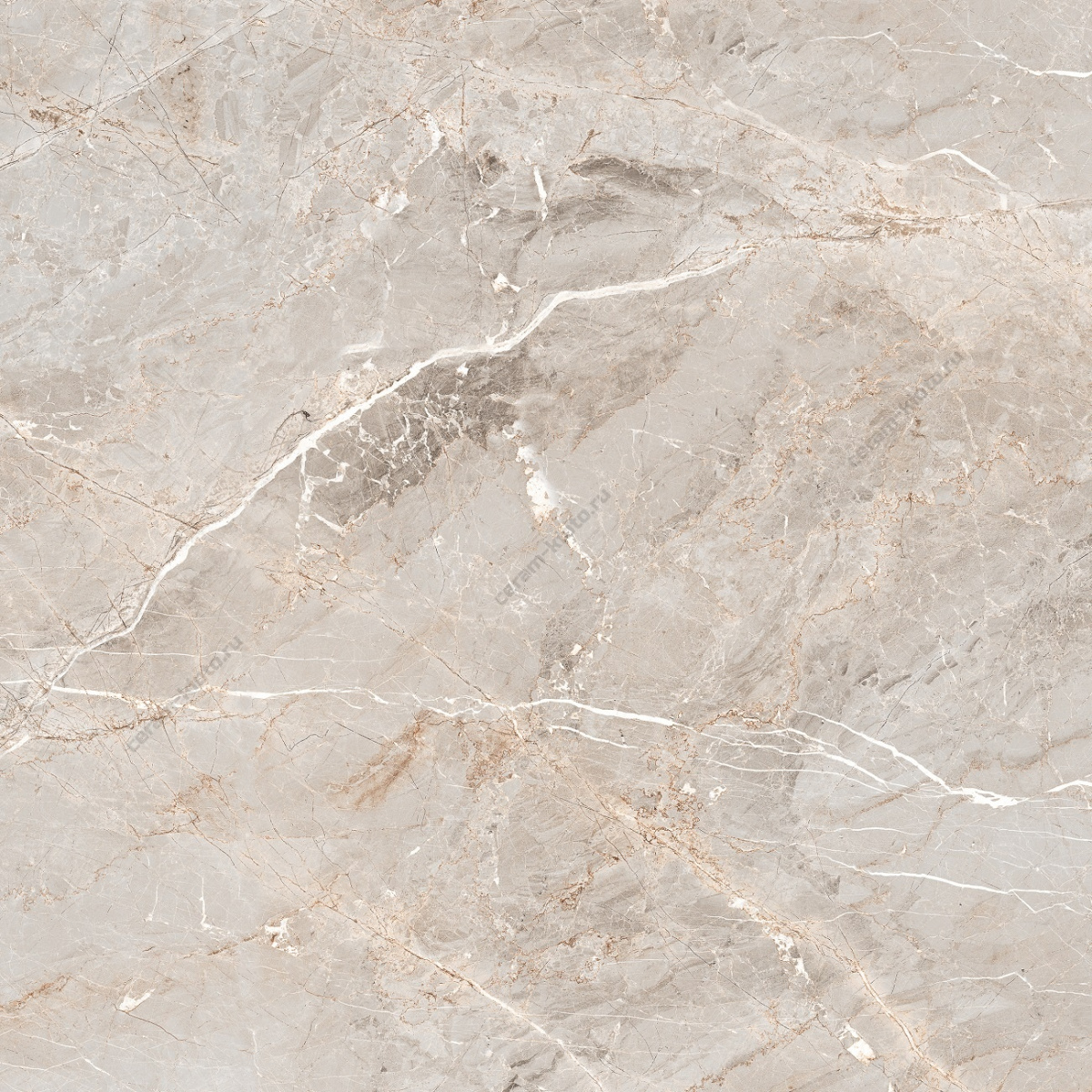 Albi White 600x600 полированный